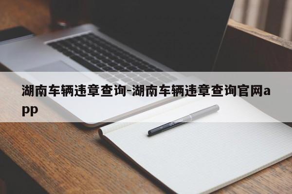 湖南车辆违章查询-湖南车辆违章查询官网app